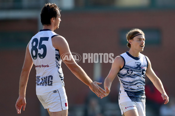 VFL 2022 Round 09 - Northern Bullants v Geelong - 951902