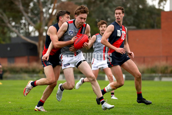 VFL 2022 Round 11 - Coburg v Frankston - 958008