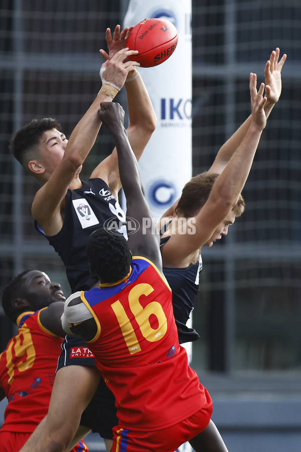 VFL 2022 Media - Fitzroy Cubs v Carlton - 948211