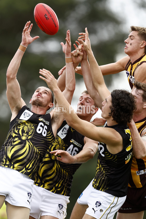 VFL 2022 Round 08 - Box Hill v Richmond - 948325