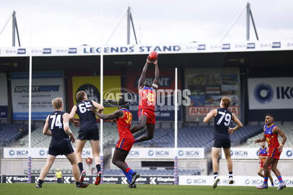 VFL 2022 Media - Fitzroy Cubs v Carlton - 948414