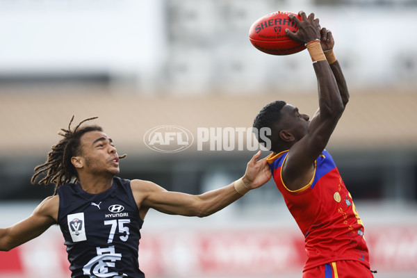 VFL 2022 Media - Fitzroy Cubs v Carlton - 948466