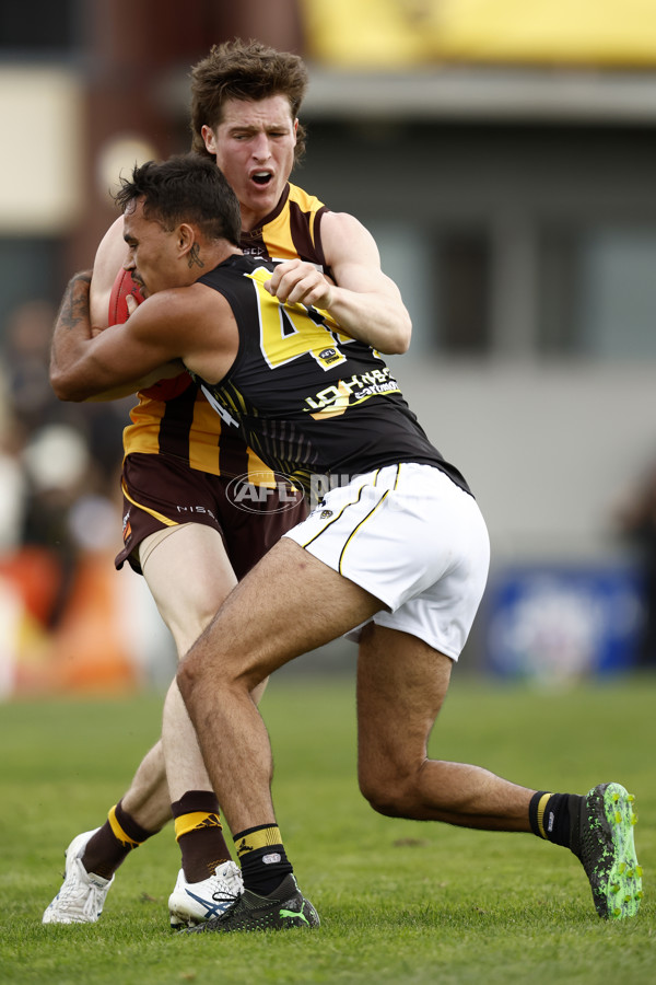 VFL 2022 Round 08 - Box Hill v Richmond - 948312