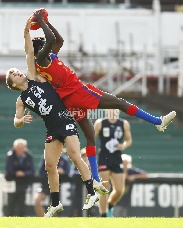 VFL 2022 Media - Fitzroy Cubs v Carlton - 948332