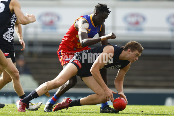 VFL 2022 Media - Fitzroy Cubs v Carlton - 948458