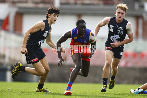 VFL 2022 Media - Fitzroy Cubs v Carlton - 948454