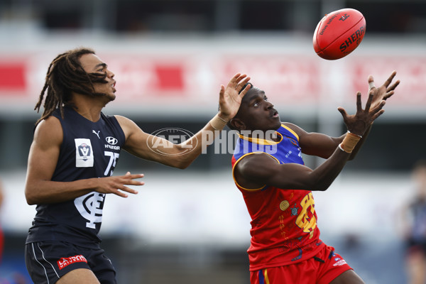 VFL 2022 Media - Fitzroy Cubs v Carlton - 948465