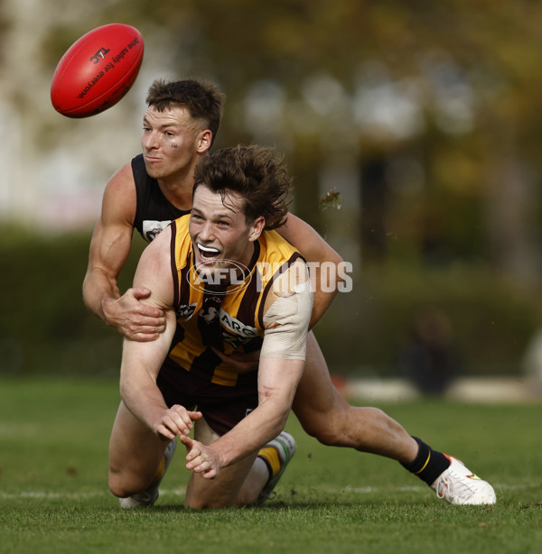 VFL 2022 Round 08 - Box Hill v Richmond - 948579