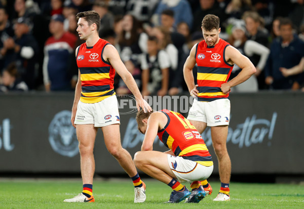 AFL 2022 Round 08 - Carlton v Adelaide - 946215