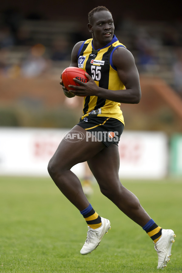 VFL 2022 Round 06 - Sandringham v Frankston - 942797