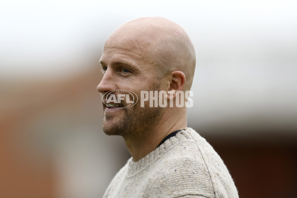 VFL 2022 Round 06 - Sandringham v Frankston - 942710