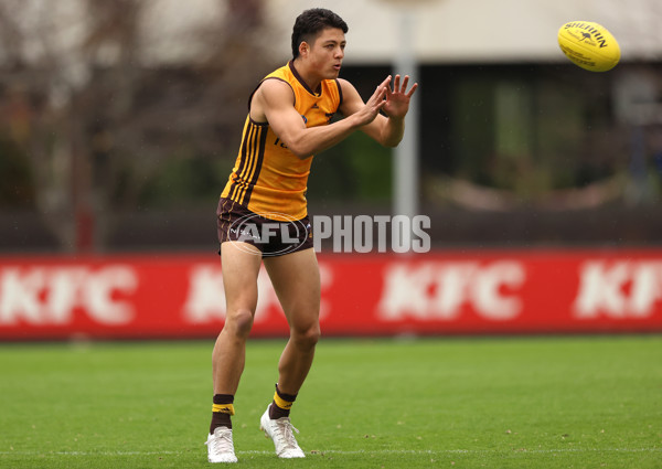 AFL 2022 Training - Hawthorn 040522 - 943446