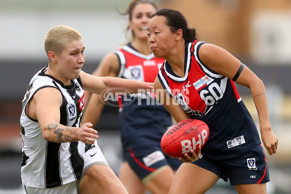 VFLW 2022 Round 10 - Darebin v Collingwood - 941435