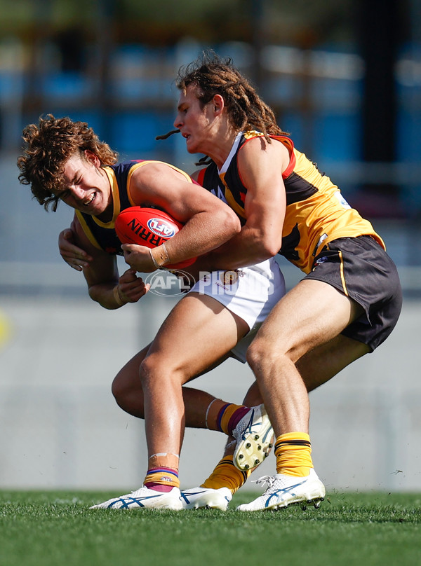 NAB League Boys 2022 Round 02 - Dandenong v Brisbane - 933176