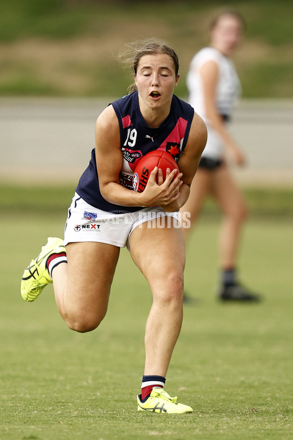 NAB League Girls 2022 - Northern Knights v Sandringham - 919048