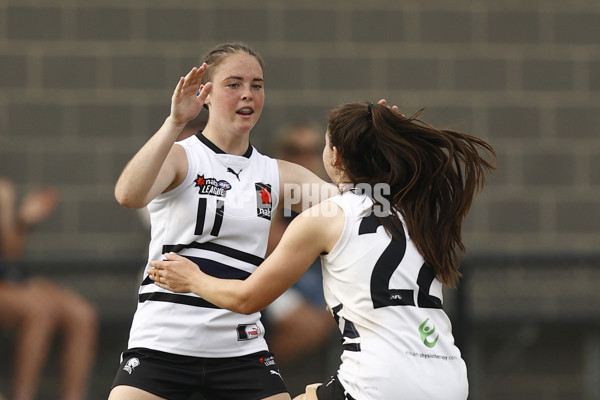 NAB League Girls 2022 - Northern Knights v Sandringham - 919042