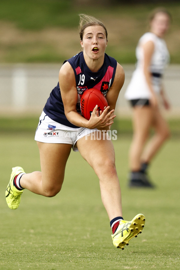 NAB League Girls 2022 - Northern Knights v Sandringham - 919050