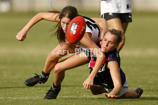 NAB League Girls 2022 - Northern Knights v Sandringham - 919098