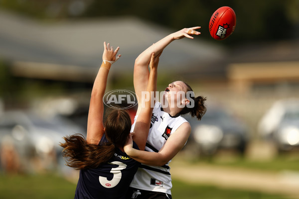 NAB League Girls 2022 - Northern Knights v Sandringham - 919088