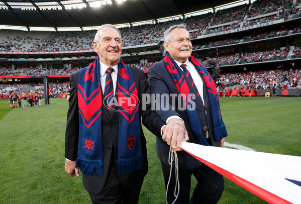 AFL 2022 Round 01 - Melbourne v Western Bulldogs - 919584