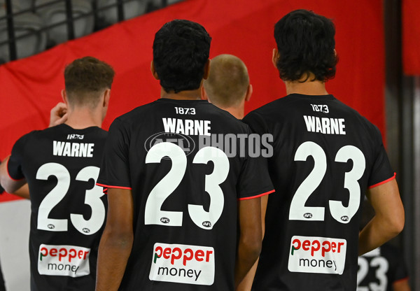 AFL 2022 Round 01 - St Kilda v Collingwood - 920446