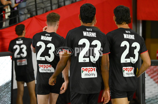 AFL 2022 Round 01 - St Kilda v Collingwood - 920444