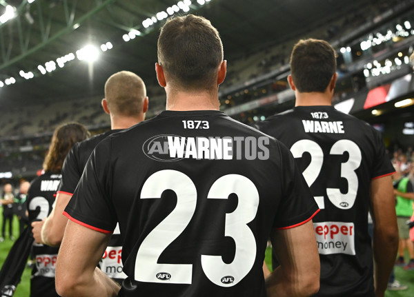 AFL 2022 Round 01 - St Kilda v Collingwood - 920455