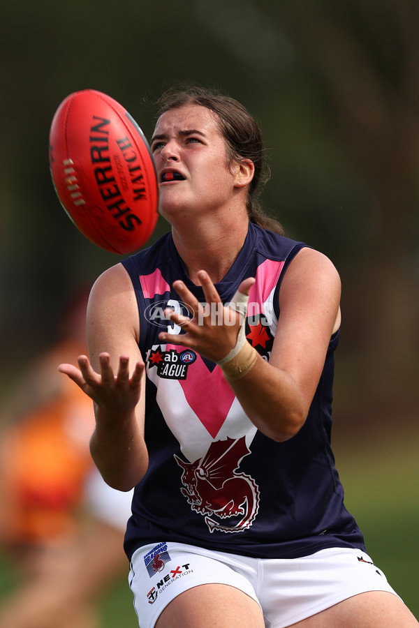 NAB League Girls 2022 - Calder Cannons v Sandringham - 921934