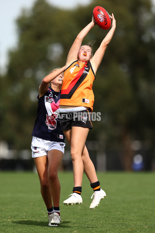 NAB League Girls 2022 - Calder Cannons v Sandringham - 921956