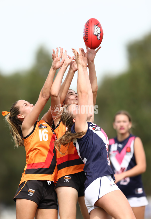 NAB League Girls 2022 - Calder Cannons v Sandringham - 922023