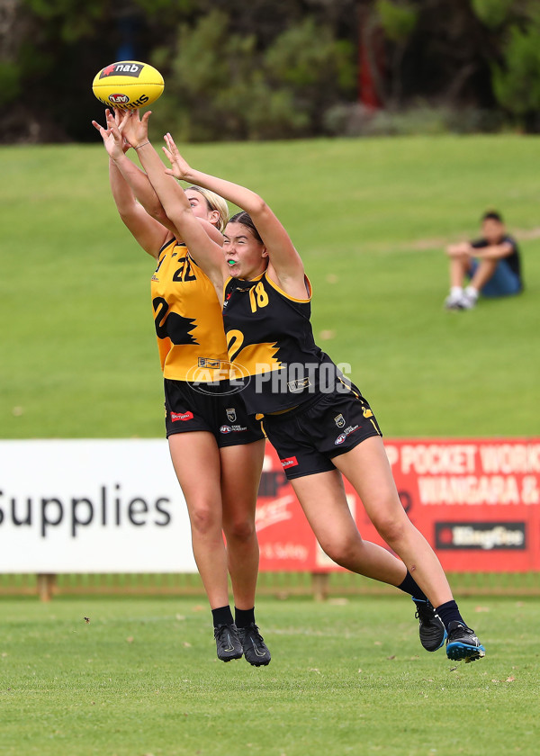 AFLW 2022 U16 Girls Championships - WA Gold v WA Black - 923127