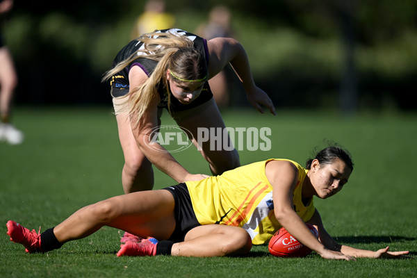 NAB League Girls 2022 - Murray Bushrangers v Northern Territory - 925518