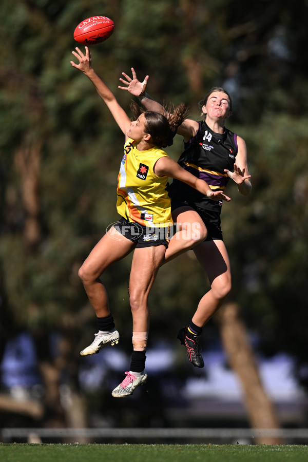NAB League Girls 2022 - Murray Bushrangers v Northern Territory - 925508
