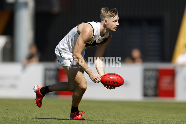 VFL 2022 Round 01 - Richmond v Southport - 925597