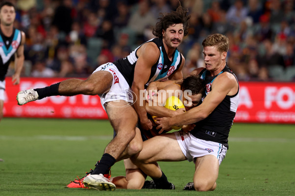 AFL 2022 Round 03 - Adelaide v Port Adelaide - 927767