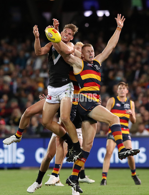 AFL 2022 Round 03 - Adelaide v Port Adelaide - 927837