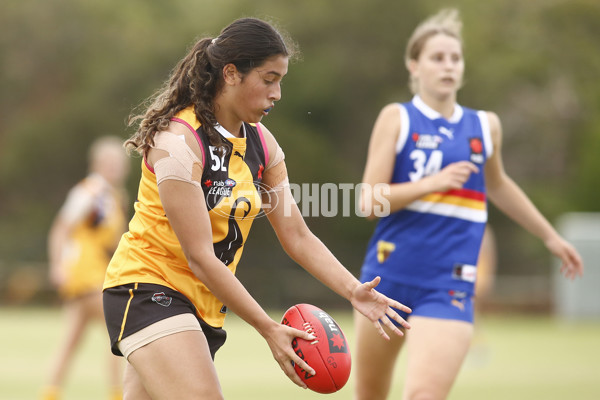 NAB League Girls 2022 - Dandenong Futures v Eastern Futures - 913339