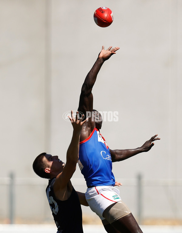 VFL 2022 Practice Match - Carlton v Casey - 914521