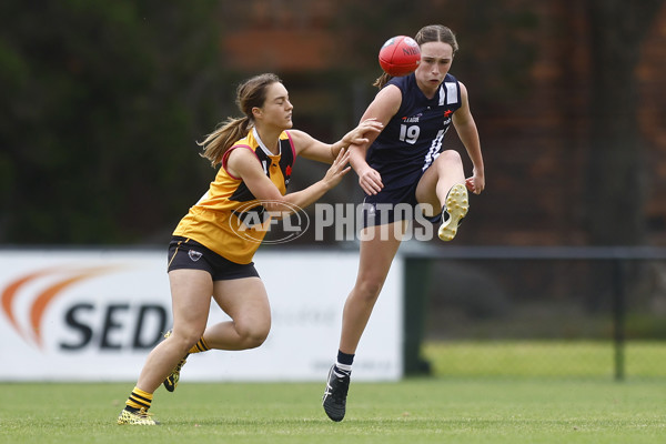 NAB League Girls 2022 Semi Final - Dandenong v Geelong - 928127