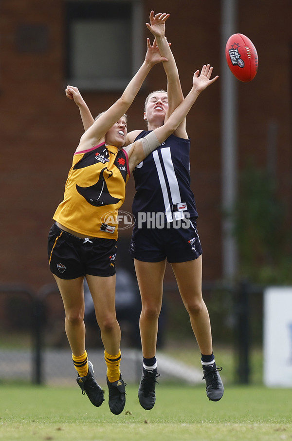 NAB League Girls 2022 Semi Final - Dandenong v Geelong - 928136