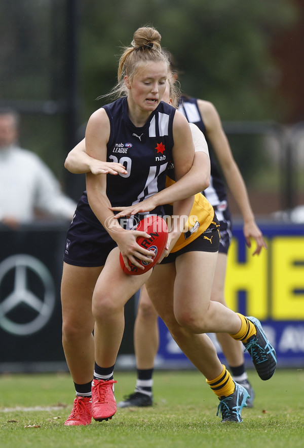 NAB League Girls 2022 Semi Final - Dandenong v Geelong - 928165