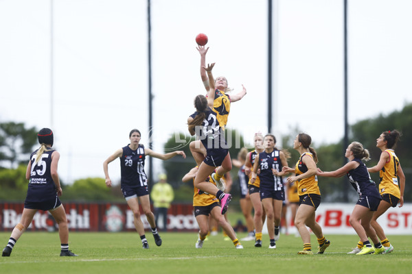 NAB League Girls 2022 Semi Final - Dandenong v Geelong - 928172