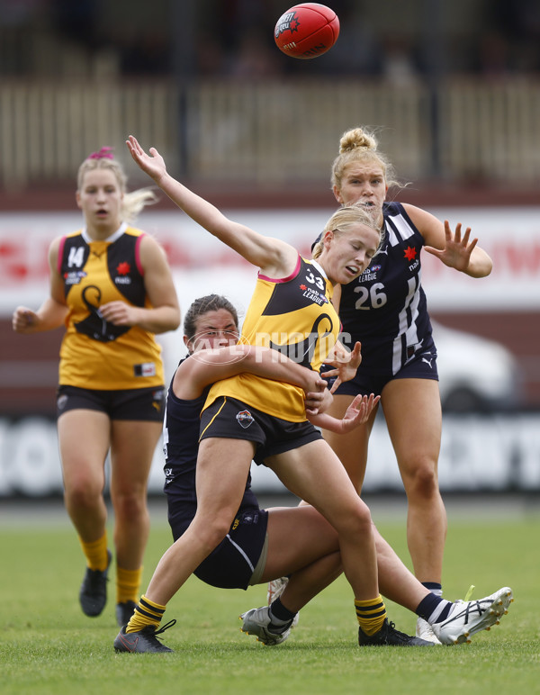 NAB League Girls 2022 Semi Final - Dandenong v Geelong - 928137