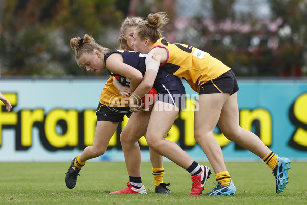 NAB League Girls 2022 Semi Final - Dandenong v Geelong - 928166