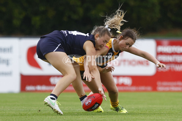 NAB League Girls 2022 Semi Final - Dandenong v Geelong - 928290