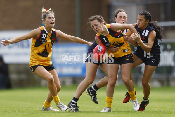 NAB League Girls 2022 Semi Final - Dandenong v Geelong - 928293