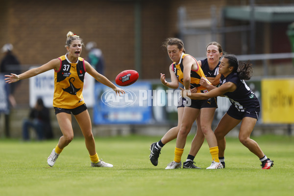 NAB League Girls 2022 Semi Final - Dandenong v Geelong - 928294