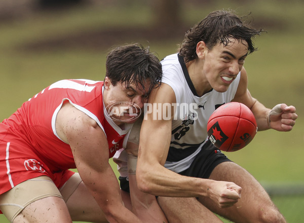 NAB League Boys 2022 Round 01 - Northern v Sydney - 928448