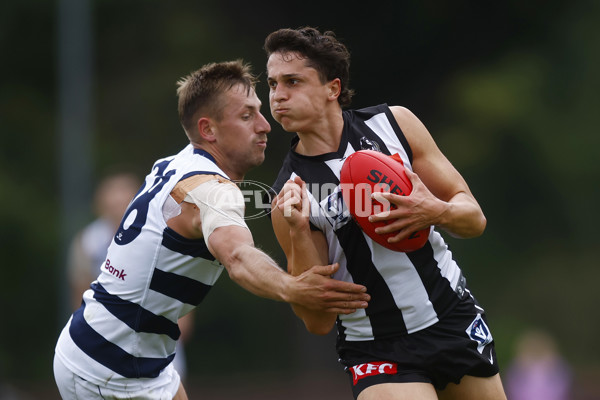 VFL 2022 Round 02 - Collingwood v Geelong - 928491