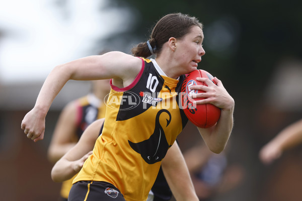 NAB League Girls 2022 Semi Final - Dandenong v Geelong - 928924